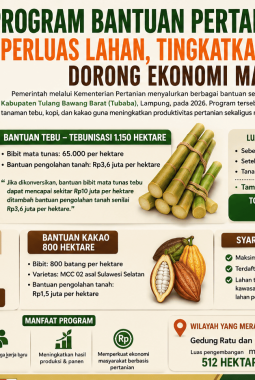 Kabar Baik untuk Petani Tubaba! Bantuan Tebu, Kopi, dan Kakao Dibuka hingga Mei 2026